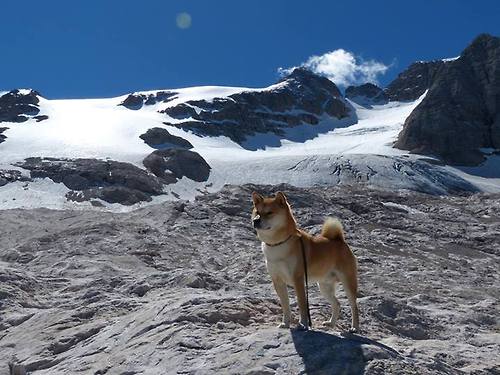 以“足球+旅游+文化”为核心，打造多产业融合示范区，足球文化长廊